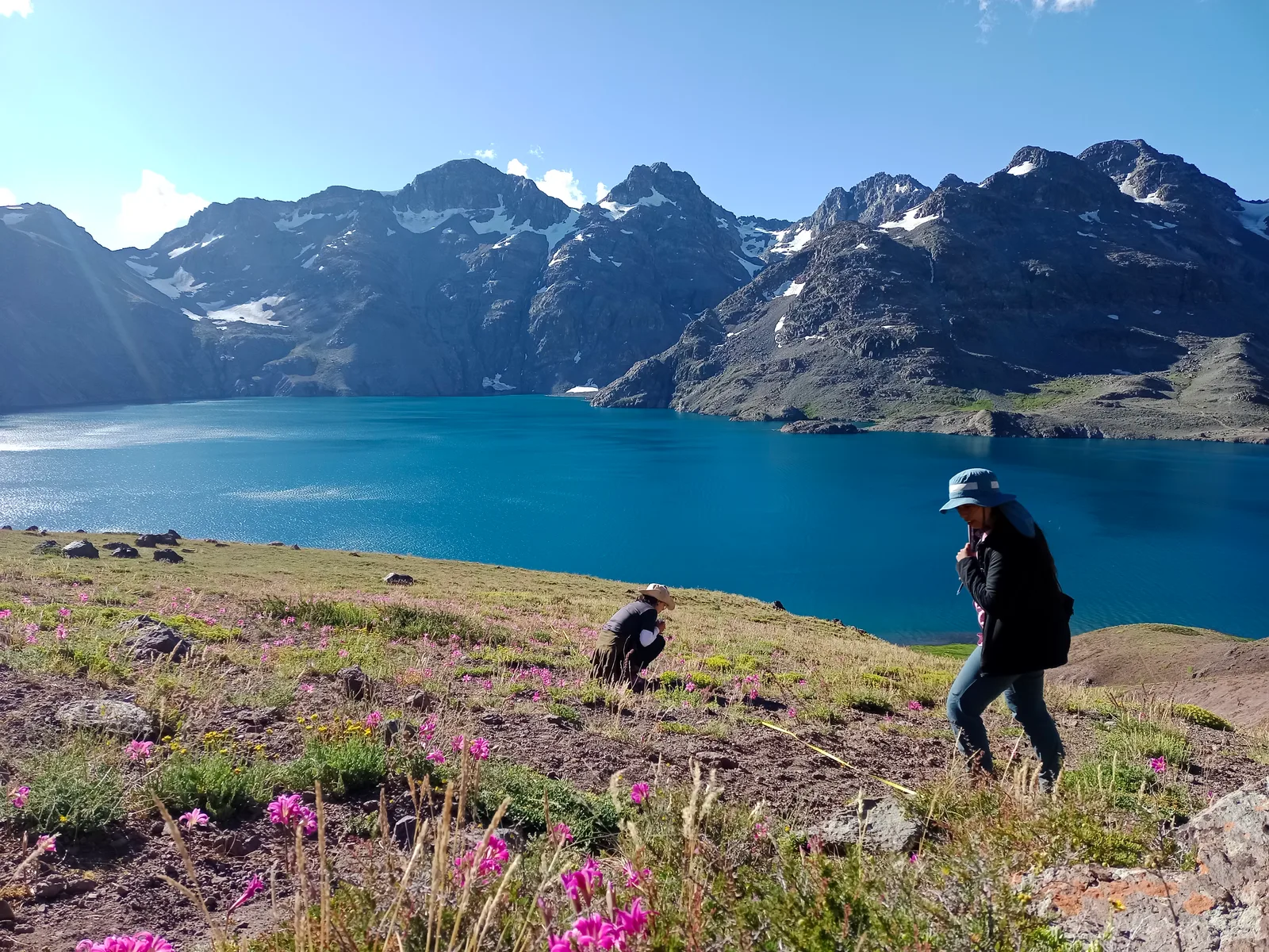 Investigación de campo en zona cordillerana